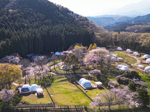 ＜1日1棟限定＞ 花粉・寒さゼロの「インドアお花見」×「夜桜BBQ」でW満喫！ブリリアントヴィレッジ日光、春限定プランを3/9より期間限定スタート