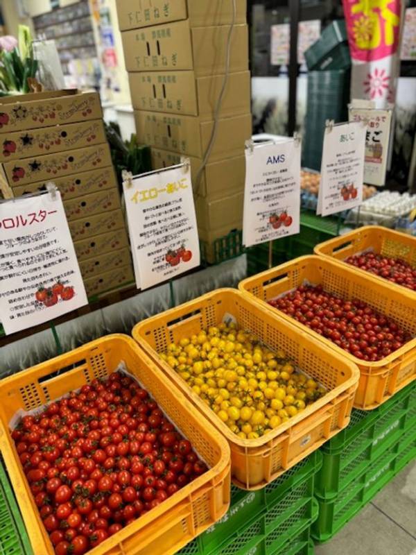 ＼安さも楽しさも限界突破！／群馬の旬で家計応援！上州・村の駅「春の生活応援感謝祭」を3/1より開催！この春“ワクワク・おいしい新発見”がここにある。