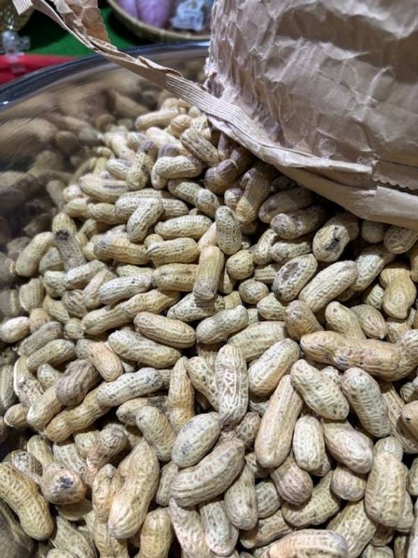 ＼安さも楽しさも限界突破！／群馬の旬で家計応援！上州・村の駅「春の生活応援感謝祭」を3/1より開催！この春“ワクワク・おいしい新発見”がここにある。