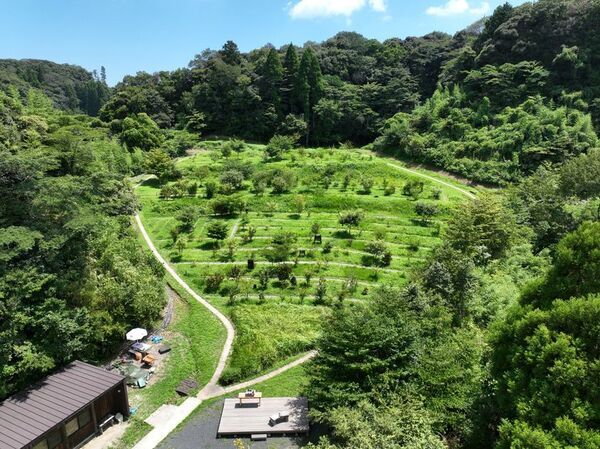 自然を創出し生態系を育てる『森の墓苑』開苑10周年 最後の追加区画を販売中