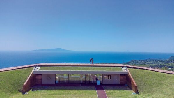 「つばき観賞会」静岡・伊東市　小室山公園つばき園にて3/15(日)まで開催中！約110種の椿の一輪差しや雛飾りの展示を実施