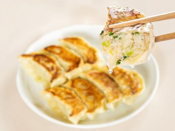 愛知県発！日本最大級の餃子イベント！「万代島多目的広場 大かま」で「全日本ぎょうざ祭り」待望の第2弾！前売入場券を2月28日(土)から発売開始