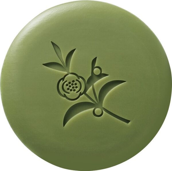 【株式会社ゆうか】ブランドリニューアル2026年本格稼働　お茶のスキンケア「茶澄(ちゃすみ)/ chasumi」洗顔こそ美肌の原点・自然の恵みで輝く美肌へ！