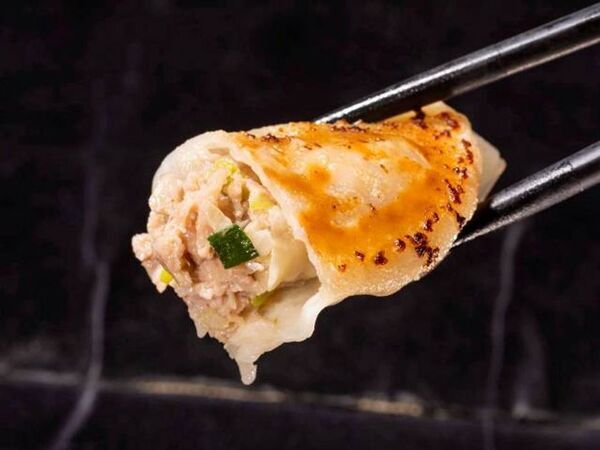 日本最大級の餃子イベント 静岡初上陸！「全日本ぎょうざ祭り」@グランシップ広場　前売入場券を3月7日(土)から販売開始