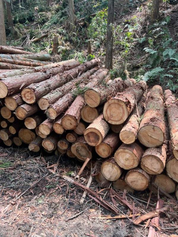 中川運河から、未来を編む滞在　セトレ キャナル 名古屋 2026年6月18日(木) 開業