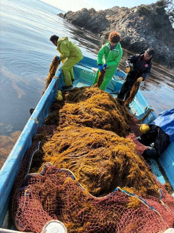 春の旬を味わう『春の寿司まつり』を3月6日(金)より開催　～市場を通さず坊勢島の浜から獲れたて魚が店舗へ届けられる浜直地魚や春限定の匠の一皿など、季節の味覚を堪能～