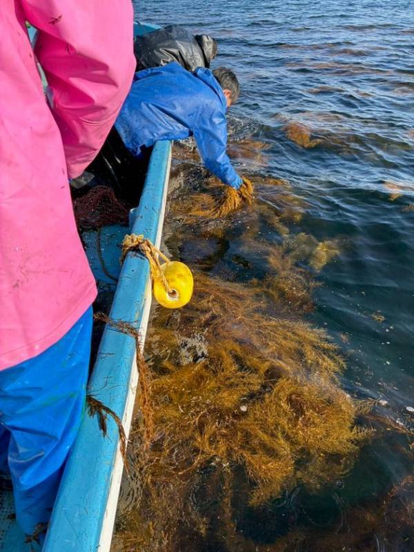 春の旬を味わう『春の寿司まつり』を3月6日(金)より開催　～市場を通さず坊勢島の浜から獲れたて魚が店舗へ届けられる浜直地魚や春限定の匠の一皿など、季節の味覚を堪能～