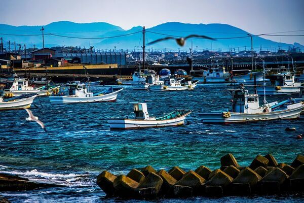 春の旬を味わう『春の寿司まつり』を3月6日(金)より開催　～市場を通さず坊勢島の浜から獲れたて魚が店舗へ届けられる浜直地魚や春限定の匠の一皿など、季節の味覚を堪能～