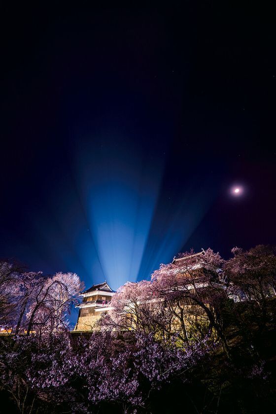 春爛漫！約1,000本の桜が咲き誇る　第23回上田城千本桜まつり　4月4日(土)～12日(日)に開催！！