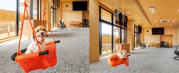 島原温泉ホテル南風楼、大人気のキッズコーナーがさらに進化！「ボールプール」が大幅リニューアル！