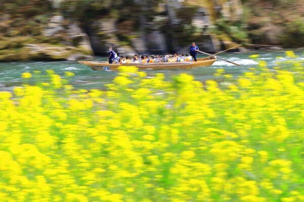 都心から90分！和船で清流を下る、長瀞の名物体験　3/10(火)「長瀞ラインくだり」2026年シーズン運航開始！