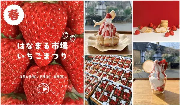 ＜千葉県南房総市＞道の駅ローズマリー公園 はなまる市場　旬をめいっぱいたのしもう！！「はなまるいちごまつり」2026年3月6日(金)～2026年3月8日(日)の3日間開催！