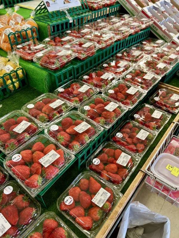 ＜千葉県南房総市＞道の駅ローズマリー公園 はなまる市場　旬をめいっぱいたのしもう！！「はなまるいちごまつり」2026年3月6日(金)～2026年3月8日(日)の3日間開催！