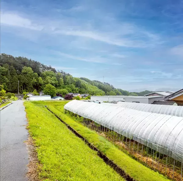 和漢の力を日常にする新しい頭皮セルフケア習慣　＆wakanスカルプエッセンス　CLEAR(夏季限定)　2026年も3月10日に発売開始