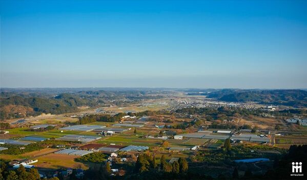 2026年収穫の日向夏×非加熱製法で仕上げた特別な日向夏ドレッシング「なつぜん」をMakuakeで3月20日(金)から先行販売開始