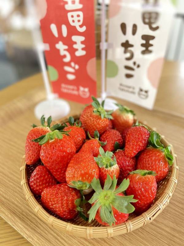 初出店を含む全17店舗が決定！いちごの祭典、いよいよ全容公開　OSAKA Strawberry Festival 2026　関西テレビ扇町スクエアで3月13日(金)より10日間開催