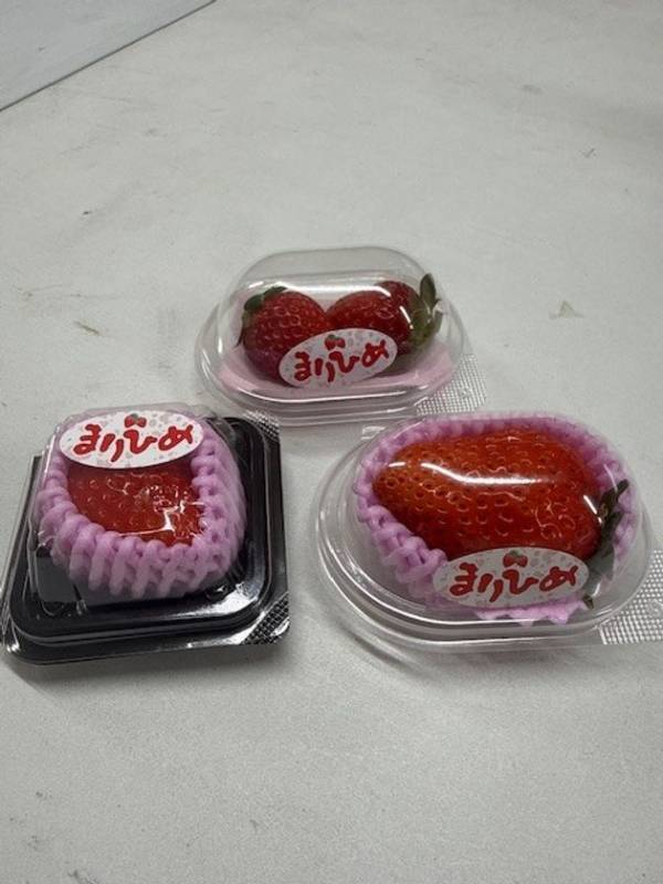 初出店を含む全17店舗が決定！いちごの祭典、いよいよ全容公開　OSAKA Strawberry Festival 2026　関西テレビ扇町スクエアで3月13日(金)より10日間開催