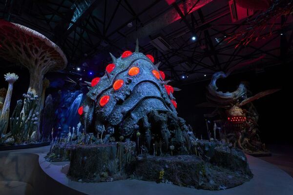 『金曜ロードショーとジブリ展』いよいよ2026年秋、佐賀にて初開催が決定！