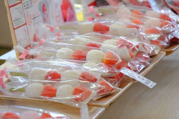 雑貨・グルメ・ワークショップ 約1,200ブースが札幌に集結「札幌ハンドメイドマルシェ2026」4/25(土)・4/26(日)開催