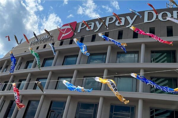 創業79年の鯉のぼりメーカーが空間演出へ立体ディスプレイ「のぼり水族館」に新たに20種類を追加