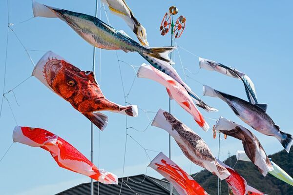 創業79年の鯉のぼりメーカーが空間演出へ立体ディスプレイ「のぼり水族館」に新たに20種類を追加