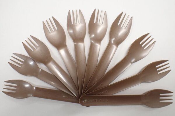 冨士色素株式会社、メキシコで海藻(サルガッサム)由来バイオプラスチック活用調査が、経産省補助金の令和6年度補正グローバルサウス未来志向型共創等事業費補助金に採択