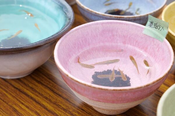 岐阜のイオンモール土岐で家族で一日楽しめる！「春の美濃焼大陶器市」を4/18・19開催　陶器と地域の魅力を体感する2日間