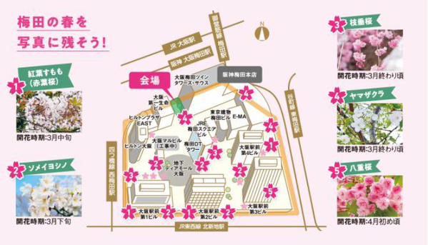 「大阪ダイヤモンドフェスタ2026～Spring～」を3月23日（月）～4月12日（日）に開催します～10年目のさくらフォトコンに「スマホ部門」など新設。現地イベント「桜日和フェス」も開催～