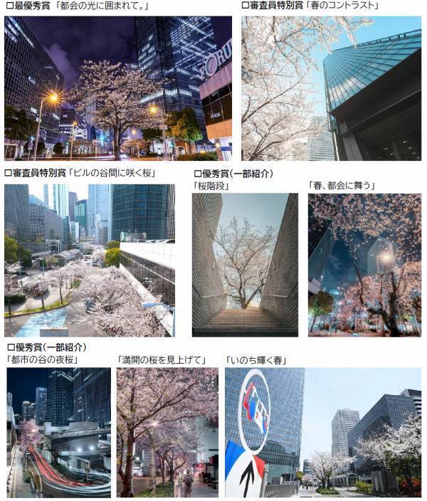 「大阪ダイヤモンドフェスタ2026～Spring～」を3月23日（月）～4月12日（日）に開催します～10年目のさくらフォトコンに「スマホ部門」など新設。現地イベント「桜日和フェス」も開催～