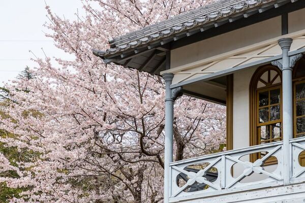 愛知県豊田市でお花見スポットを巡ろう！春風に誘われて。お花スタンプラリー開催中