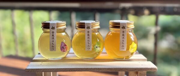 愛知県豊田市でお花見スポットを巡ろう！春風に誘われて。お花スタンプラリー開催中