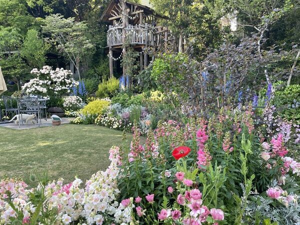 愛知県豊田市でお花見スポットを巡ろう！春風に誘われて。お花スタンプラリー開催中