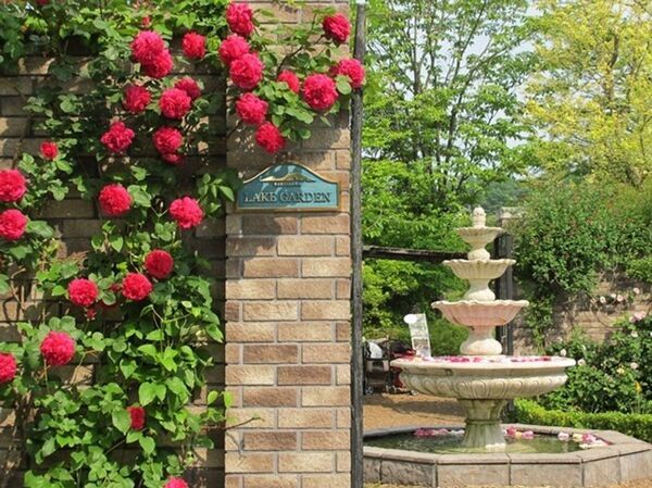 「軽井沢レイクガーデン」2026年の開園期間は4月17日(金)～11月8日(日)　約1万坪の庭園にイングリッシュローズやハーブなどが咲き誇る