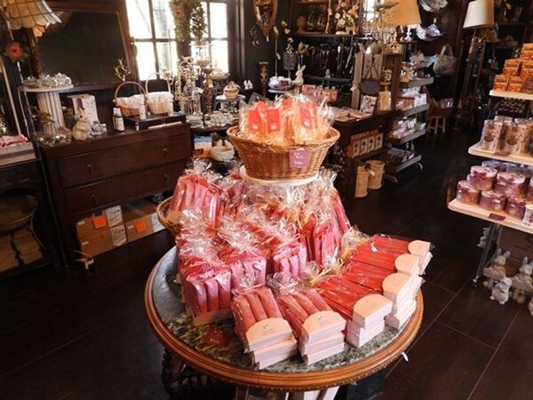 「軽井沢レイクガーデン」2026年の開園期間は4月17日(金)～11月8日(日)　約1万坪の庭園にイングリッシュローズやハーブなどが咲き誇る