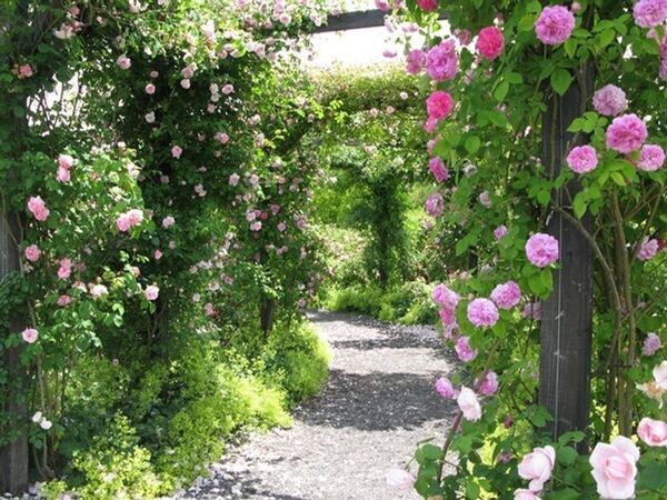 「軽井沢レイクガーデン」2026年の開園期間は4月17日(金)～11月8日(日)　約1万坪の庭園にイングリッシュローズやハーブなどが咲き誇る