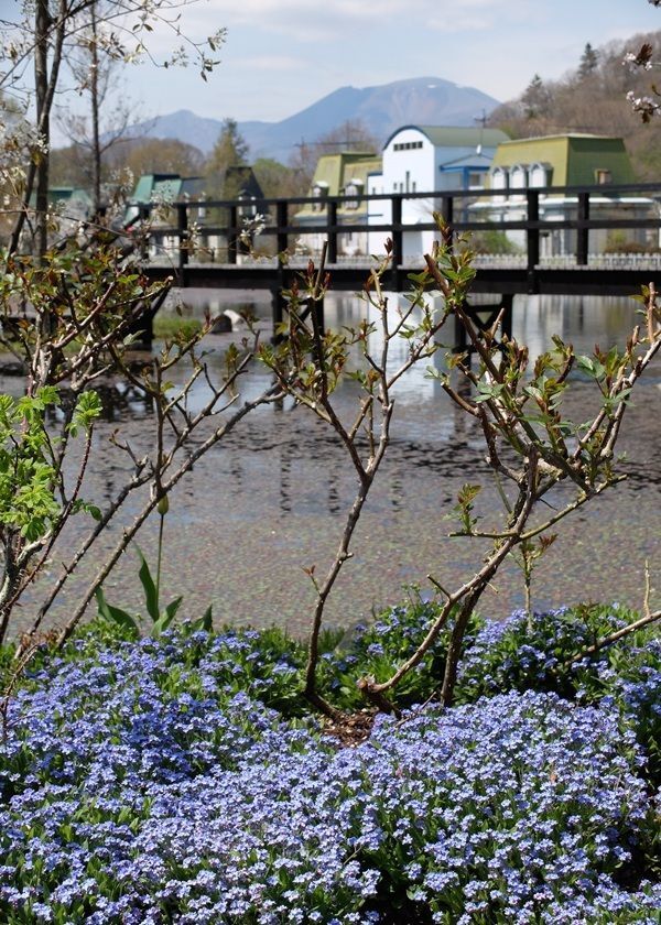 「軽井沢レイクガーデン」2026年の開園期間は4月17日(金)～11月8日(日)　約1万坪の庭園にイングリッシュローズやハーブなどが咲き誇る