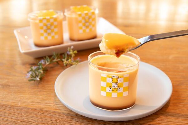 いよいよ4/21ココテラスの丘いいねマルシェ店オープン　【4/21・22限定】税込3,000円以上購入で先着100名様に卵プレゼント！年間16万人が訪れる「ココテラスの丘」が名古屋初上陸！