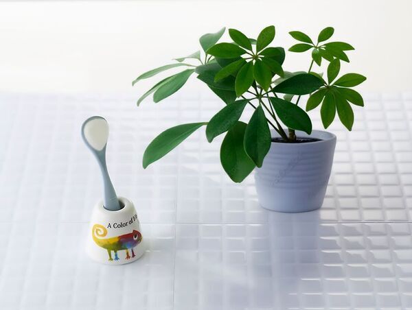 新学期から、新しい口腔ケア習慣を！将来の健康につながる、子供の舌の成長についても考えてみませんか？小学校の6年間は舌の発達において最も重要な時期