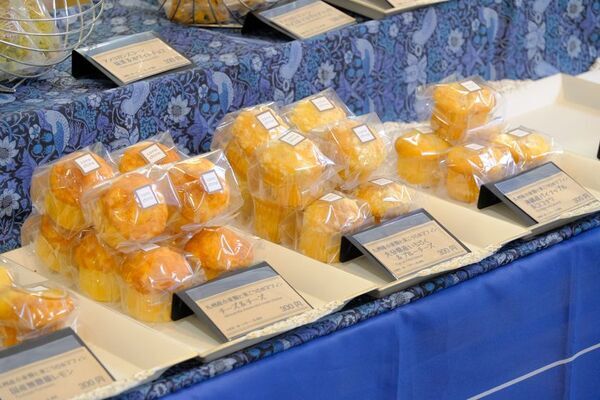 合計で約800ブースが出店！好奇心が刺激される特別な2日間「博多ハンドメイドマルシェ2026」5/16(土)・5/17(日)開催