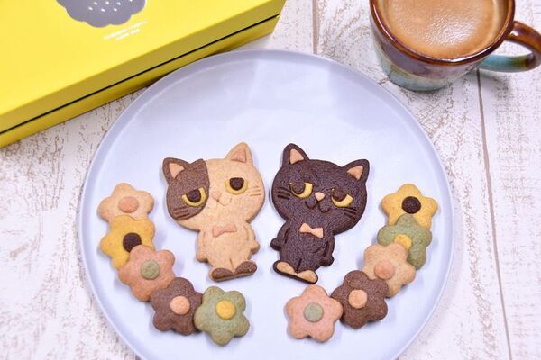 合計で約800ブースが出店！好奇心が刺激される特別な2日間「博多ハンドメイドマルシェ2026」5/16(土)・5/17(日)開催