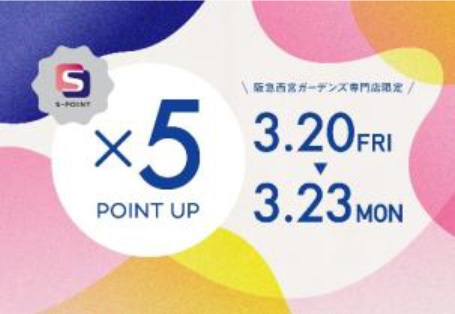 「阪急西宮ガーデンズ 春のお花見会」開催着物に身を包んだ俳優・小泉孝太郎さんが、桜の木の下で日本酒を嗜む