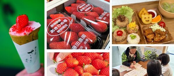 【道の駅そらっと牧之原】牧之原にいちごの最盛期到来！“いちごフェア”を3/19より開催！地元いちご農園さんとコラボした限定クレープや小学生考案の定食メニューが登場！
