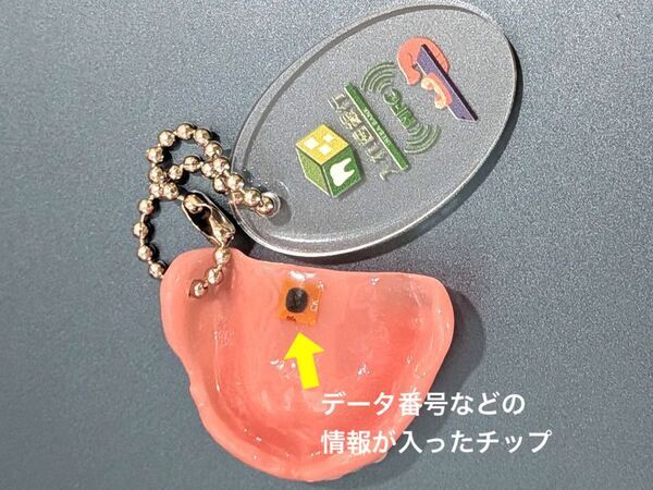 入れ歯の災害対策に、ICチップ搭載のミニチュア義歯を製作　無料データ保管の新規利用者を対象に、100個限定無料配布