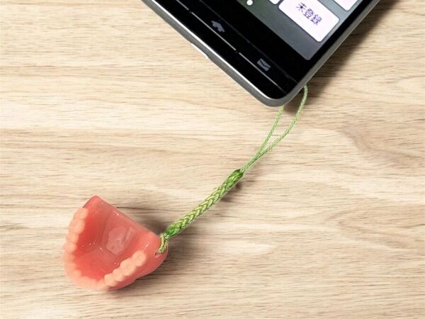 入れ歯の災害対策に、ICチップ搭載のミニチュア義歯を製作　無料データ保管の新規利用者を対象に、100個限定無料配布