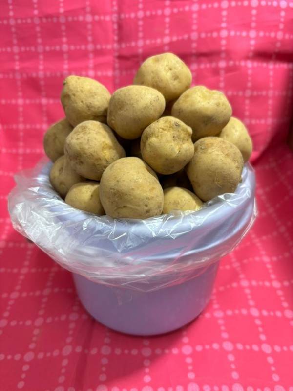 春の訪れにもピッタリ！京葉道路Pasar幕張上り「3月限定！お得イベント」開催！