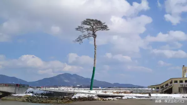 社会課題をともに「知る・学ぶから、はじまる未来。」　「地球の学校」に、不法投棄について考える記事を公開