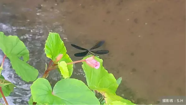 社会課題をともに「知る・学ぶから、はじまる未来。」　「地球の学校」に、不法投棄について考える記事を公開