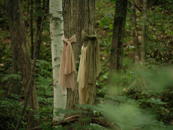 ニセコの森が、ショールになる。SHOKAY × DGBH　『森染めショール』母の日キャンペーンを5月5日まで開催