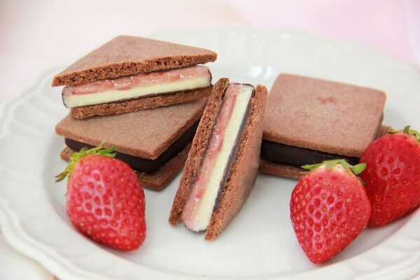 【信州ショコラトリーGAKU 6周年記念】「2026年信州いちごフェア」開催！新作いちごティグレや春限定チョコサンドなど全3種を展開