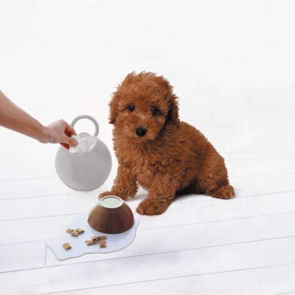 ペットケアやアウトドアで人気の「ポイッとボール」が、上質なマット質感にリニューアル。ティッシュペーパーとロールペーパーを選べる。インテリアに馴染む新3色が登場。